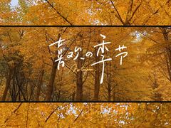 -天元公园