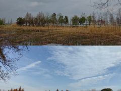 -东湖生态旅游风景区