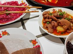 -朱光玉火锅馆(正弘城店)