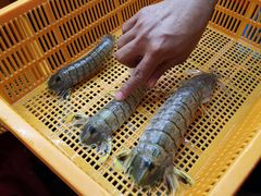 -拉威海鲜市场