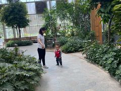 -南宫温泉水世界