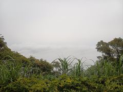 -广州市帽峰山景区
