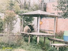 -苏州太湖国家湿地公园