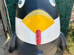 -大连老虎滩海洋公园