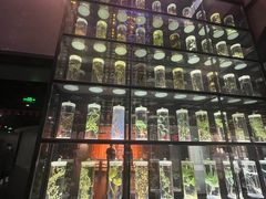 -广东中医药博物馆