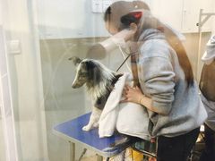 -PETKIT 小佩宠物·低压洗护·美容·寄养(安远店)