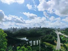 -阳台山森林公园