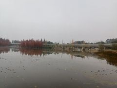 -白鹭湾湿地公园