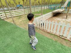 -遇见世外桃源教育农场