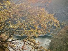 -秦岭终南山世界地质公园翠华山景区