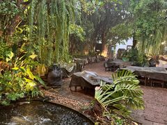-Fern Forest Cafe