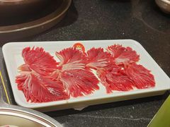 -一斗火锅·招财羊毛肚(北温泉九号店)