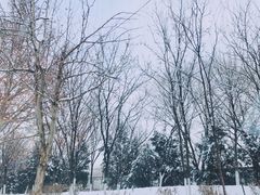 -胡同儿老北京涮肉