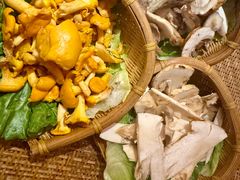 -滇野云南野生菌餐厅(陕西南路店)