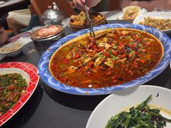 -新概念来凤鱼(璧山店)