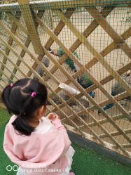 -萌宠亲子动物乐园(槐房万达店)