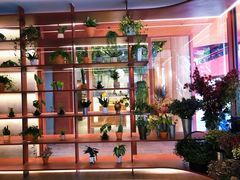 -二酉书店TOYOU BOOKS