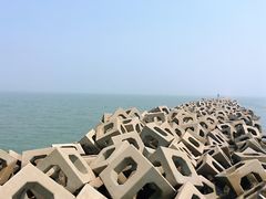 -东疆建设开发纪念公园