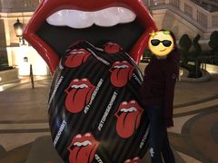 -拉斯维加斯永利酒店