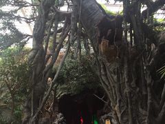 -龙达温泉生态城
