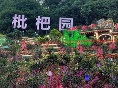 -枇杷园食为鲜火锅(南山店)