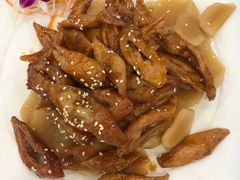 -姚林轩
