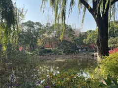 -秋霞圃