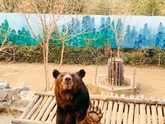 -济南野生动物世界