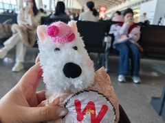 -常州奔牛国际机场