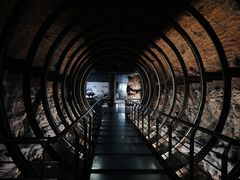 -乐山乌木文化博览苑