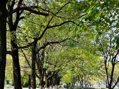 -艾溪湖湿地公园