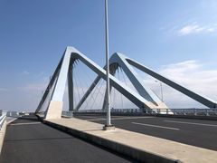 -春花秋色城市公园