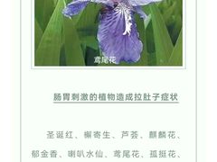 -瑞派申生动物医院·24H夜诊·国际动物医疗中心·骨外科(吴中路店)