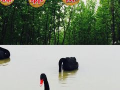 -南京金牛湖风景区