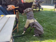 -J Create城市露营咖啡·简餐·宠物(上海动物园店)