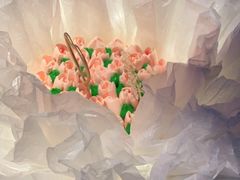 -天使烘焙·网红蛋糕