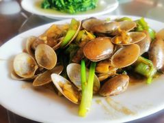 姜葱芒果螺-岛中岛·海鲜大排档·万宁老字号(东澳店)