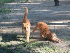 -徐家汇源景区-衡山公园