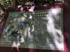 -北京上方山国家森林公园