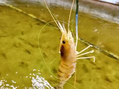 -光头佬室内钓虾场·烧烤·团建·亲子(中山八路店)