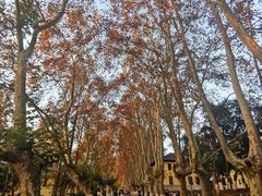 -T80科技文化国际社区-停车场