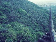 -杭州半山国家森林公园