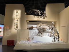 -国家自然博物馆