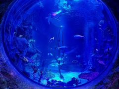 -沈阳海洋探索中心