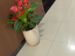 -手佳按摩·足疗·艾灸(龙江店)