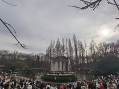-灵谷景区