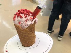 -N2怪咖冰淇淋(金安店)