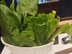 -木王宴语·野生鲜菌火锅(玉河店)