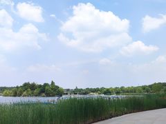 -江苏三台山国家森林公园