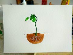 -信马画室 成人零基础到个人创作画室(亚运村店)